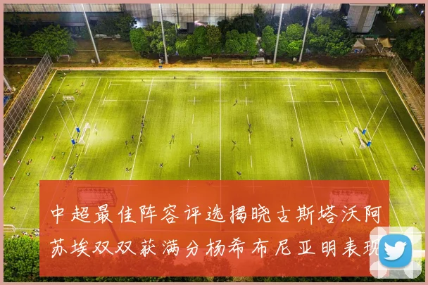 中超最佳阵容评选揭晓古斯塔沃阿苏埃双双获满分杨希布尼亚明表现出色